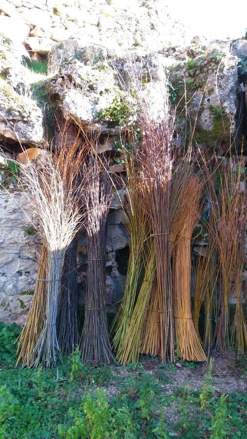 L'oseraie Du Quercy *